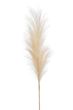 Pampas artificial decorativ crem - 115 cm 