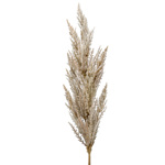 Pampas artificial decorativ - 92 cm 