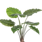 Planta artificiala Alocasia in ghiveci - 70 cm