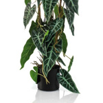 Planta artificiala Alocasia in ghiveci - 75 cm