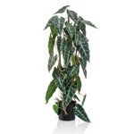 Planta artificiala Alocasia in ghiveci - 75 cm