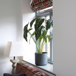 Planta artificiala Alocasia in ghiveci - 80 cm