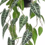 Planta artificiala curgatoare Alocasia in ghiveci - 80 cm