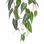 Planta artificiala curgatoare Alocasia in ghiveci - 80 cm