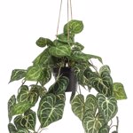 Planta artificiala curgatoare Anthurium in ghiveci - 80 cm