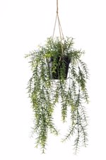 Planta artificiala curgatoare Asparagus in ghiveci - 50 cm