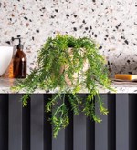 Planta artificiala curgatoare Asparagus in ghiveci - 50 cm