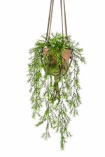 Planta artificiala curgatoare Asparagus in ghiveci - 75 cm