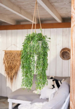 Planta artificiala curgatoare Bamboo verde UV - 80 cm