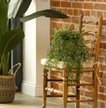Planta artificiala curgatoare Bamboo verde UV - 80 cm