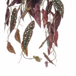 Planta artificiala curgatoare Begonia in ghiveci - 80 cm
