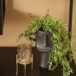 Planta artificiala curgatoare Boxwood in ghiveci - 50 cm