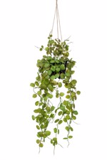 Planta artificiala curgatoare Ceropegia in ghiveci - 50 cm