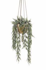 Planta artificiala curgatoare Eucalyptus in ghiveci - 75 cm