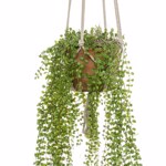 Planta artificiala curgatoare Ficus in ghiveci - 100 cm