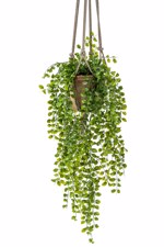 Planta artificiala curgatoare Ficus in ghiveci - 80 cm