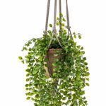 Planta artificiala curgatoare Ficus in ghiveci - 80 cm