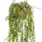 Planta artificiala curgatoare Ficus pumila in ghiveci - 100 cm