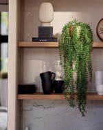 Planta artificiala curgatoare Ficus pumila in ghiveci - 100 cm