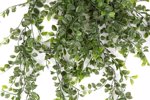 Planta artificiala curgatoare Ficus verde UV - 80 cm