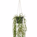 Planta artificiala curgatoare Hoya in ghiveci - 80 cm
