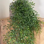 Planta artificiala curgatoare Jasmin verde - 80 cm