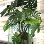 Planta artificiala curgatoare Monstera - 60 cm