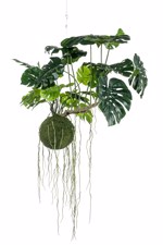 Planta artificiala curgatoare Monstera - 80 cm
