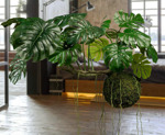 Planta artificiala curgatoare Monstera - 80 cm