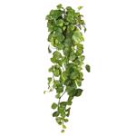 Planta artificiala curgatoare Pothos verde - 80 cm