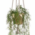 Planta artificiala curgatoare Rhipsalis in ghiveci - 90 cm
