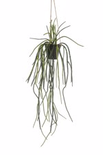 Planta artificiala curgatoare Rhypsalis in ghiveci - 85 cm