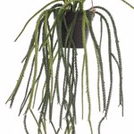 Planta artificiala curgatoare Rhypsalis in ghiveci - 85 cm