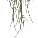 Planta artificiala curgatoare Rhypsalis in ghiveci - 85 cm
