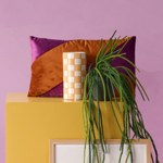 Planta artificiala curgatoare Rhypsalis in ghiveci - 85 cm