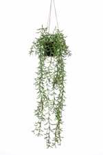 Planta artificiala curgatoare Senecio in ghiveci - 70 cm