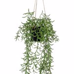 Planta artificiala curgatoare Senecio in ghiveci - 70 cm