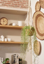 Planta artificiala curgatoare Tillandsia in ghiveci - 95 cm