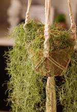 Planta artificiala curgatoare Tillandsia in ghiveci - 95 cm
