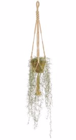 Planta artificiala curgatoare Tillandsia in ghiveci - 95 cm