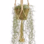 Planta artificiala curgatoare Tillandsia in ghiveci - 95 cm