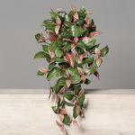 Planta artificiala curgatoare Tradescantia - 50 cm