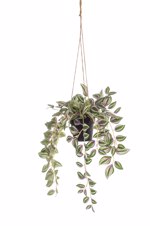 Planta artificiala curgatoare Tradescantia in ghiveci - 40 cm