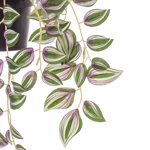 Planta artificiala curgatoare Tradescantia in ghiveci - 40 cm