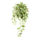 Planta artificiala curgatoare Tradescantia verde-crem - 70 cm