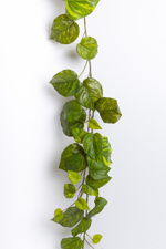 Planta artificiala curgatoare Pothos verde - 180 cm
