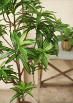 Planta artificiala Dracaena in ghiveci - 155 cm