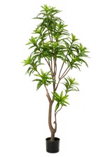 Planta artificiala Dracaena in ghiveci - 155 cm