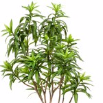 Planta artificiala Dracaena in ghiveci - 190 cm