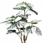 Planta artificiala Monstera Deliciosa Variegata - 80 cm